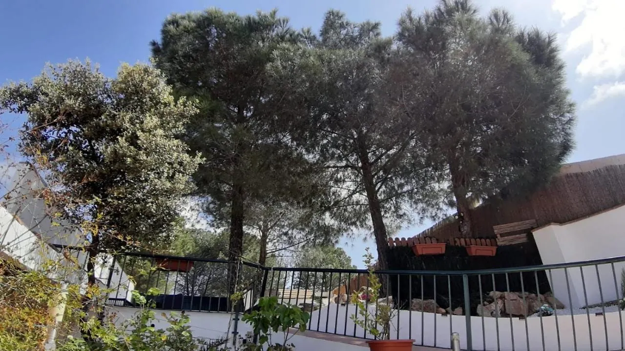 El Pinar Del Coto Villa Cordoba Holiday home